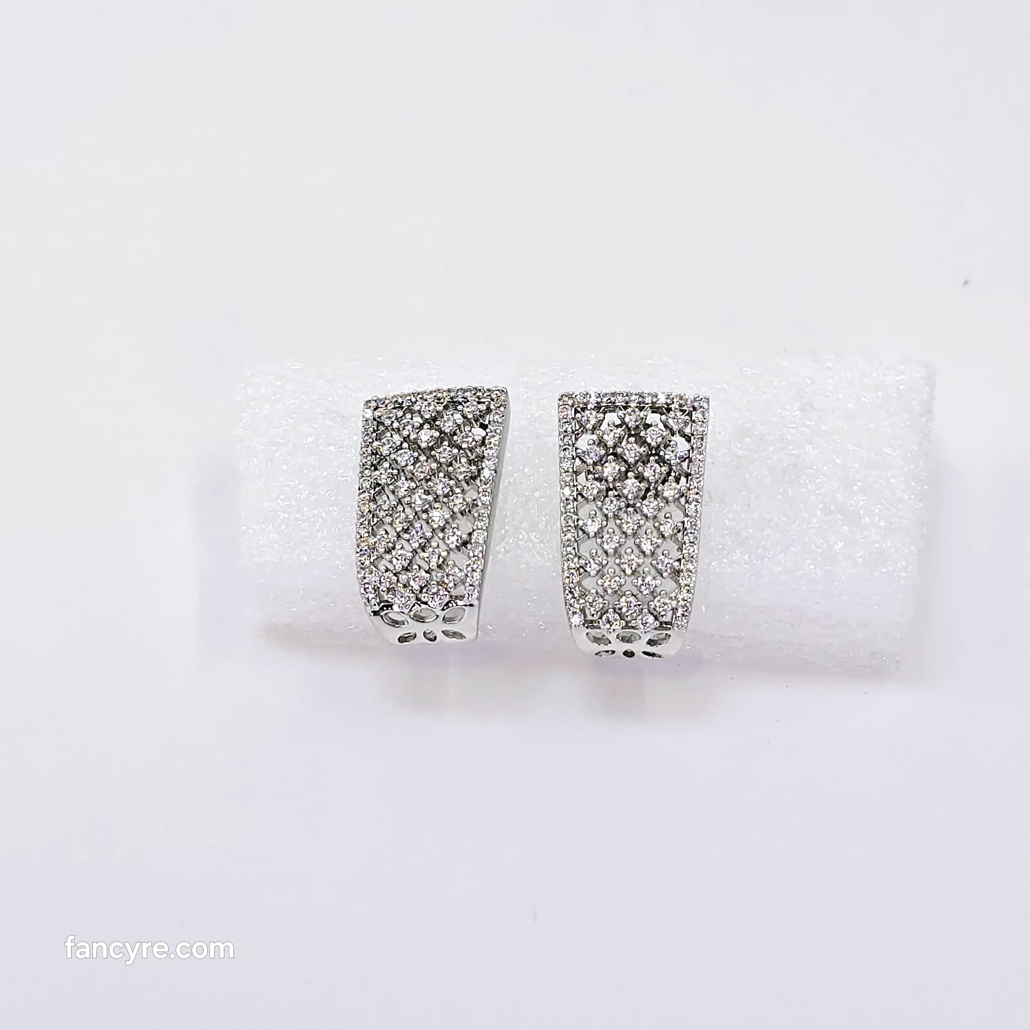 The Bharani Whitegold A.D Earring