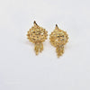 The Hiteshi Goldforming Earring