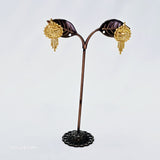 The Hiteshi Goldforming Earring