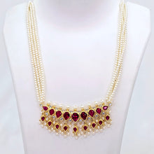 The Rani Moti Tanmani