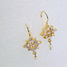 The Paroo Yellowgold A.D Bugadi