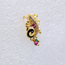 The Sadhana Moti Nath