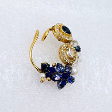 The Sadhvi Moti Nath