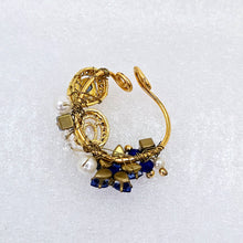 The Sadhvi Moti Nath