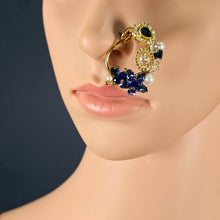 The Sadhvi Moti Nath