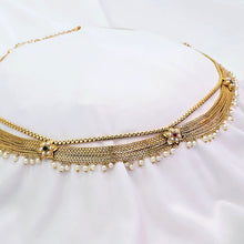 The Nikita Rajwadi Kamarpatta