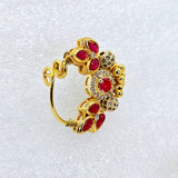 The Rajani Yellowgold A.D Nath