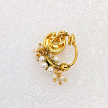 The Manjusha Moti Nath