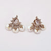 The Brijal Rosegold A.D Earring
