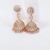 The Geline Rosegold A.D Earring