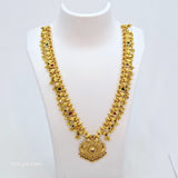 The Ashwika Antique Goldforming Saaj
