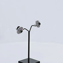 The Merida Whitegold A.D Earring