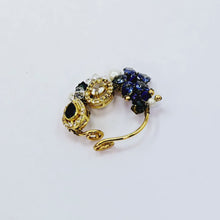 The Sadhvi Moti Nath