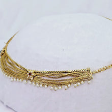 The Nikita Rajwadi Kamarpatta