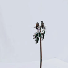 The Zenia Whitegold A.D Earring